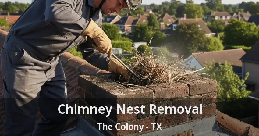 Chimney Nest Removal The Colony - TX Chimney Nest Removal The Colony - TX