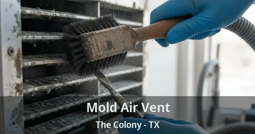 Mold Air Vent The Colony - TX