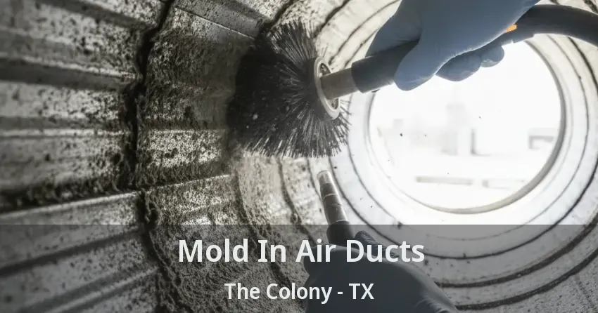 Mold In Air Ducts The Colony - TX
