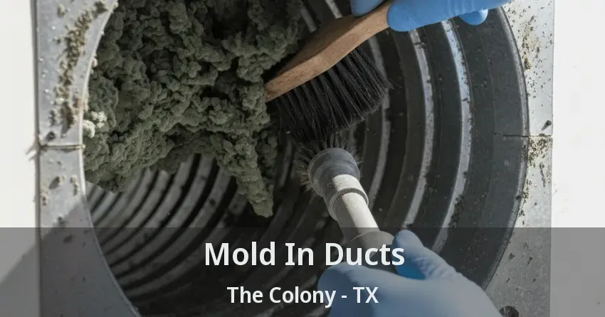 Mold In Ducts The Colony - TX Mold In Ducts The Colony - TX