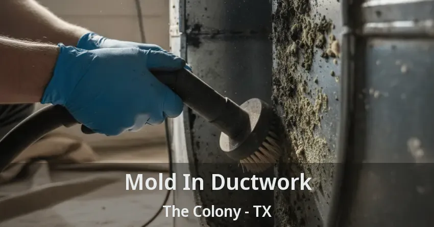 Mold In Ductwork The Colony - TX