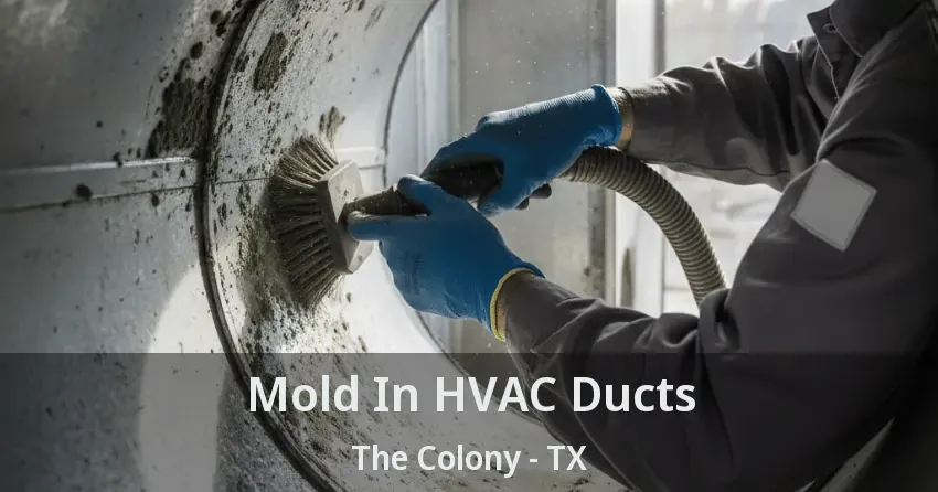 Mold In HVAC Ducts The Colony - TX Mold In HVAC Ducts The Colony - TX