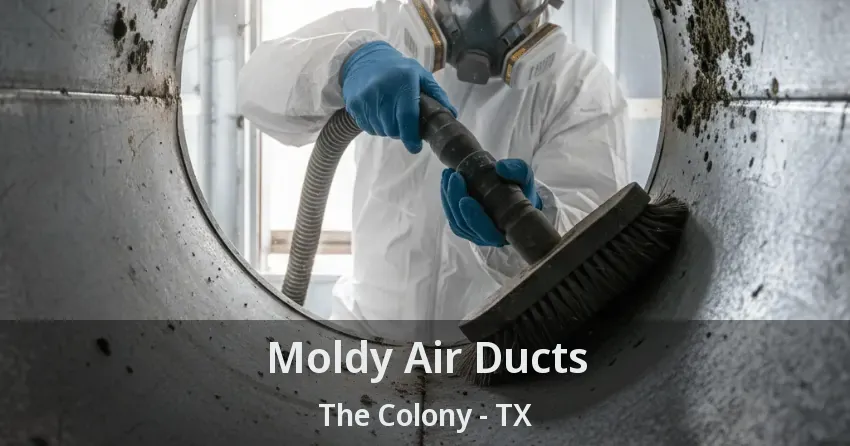 Moldy Air Ducts The Colony - TX